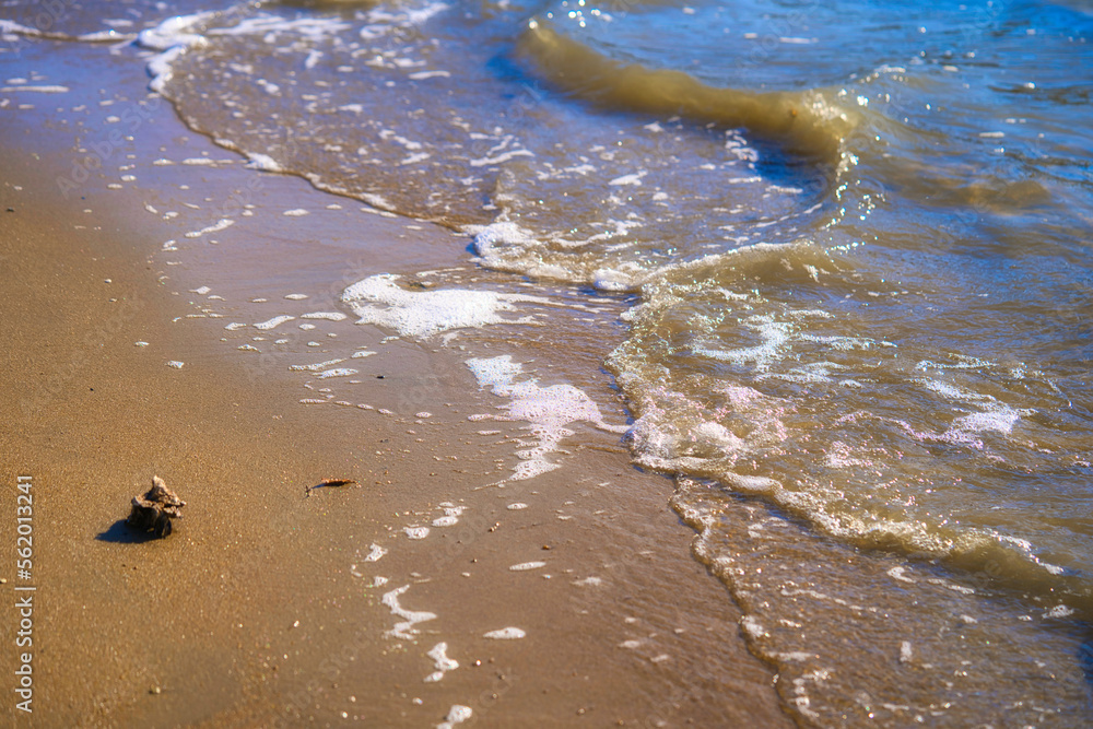 Obraz premium 砂浜