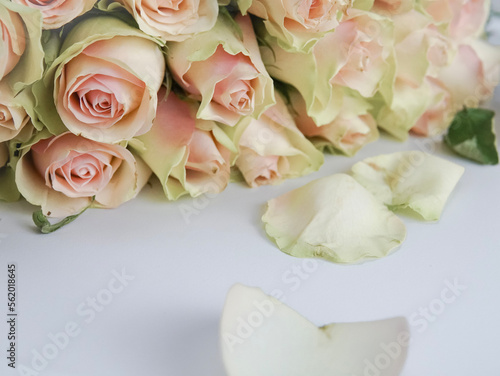 Close up of white roses natural floral background copy space