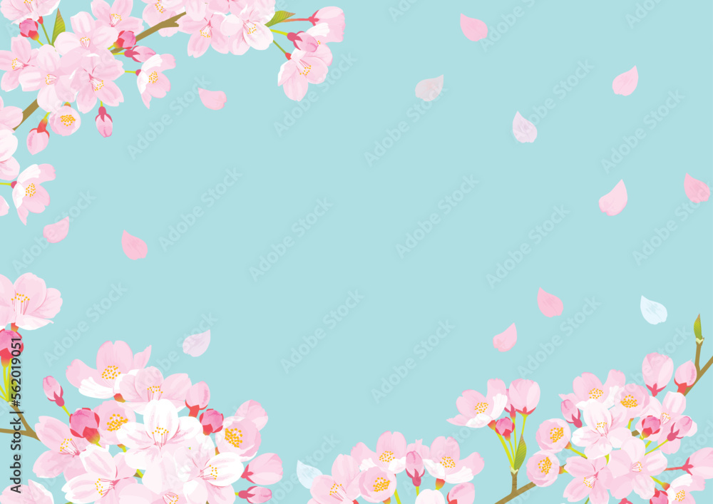 桜　背景イラスト