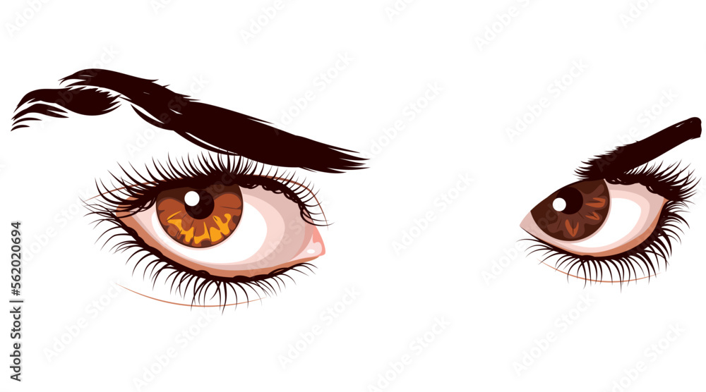 Brown eyes with long eyelashes Brown eyes with long eyelashes