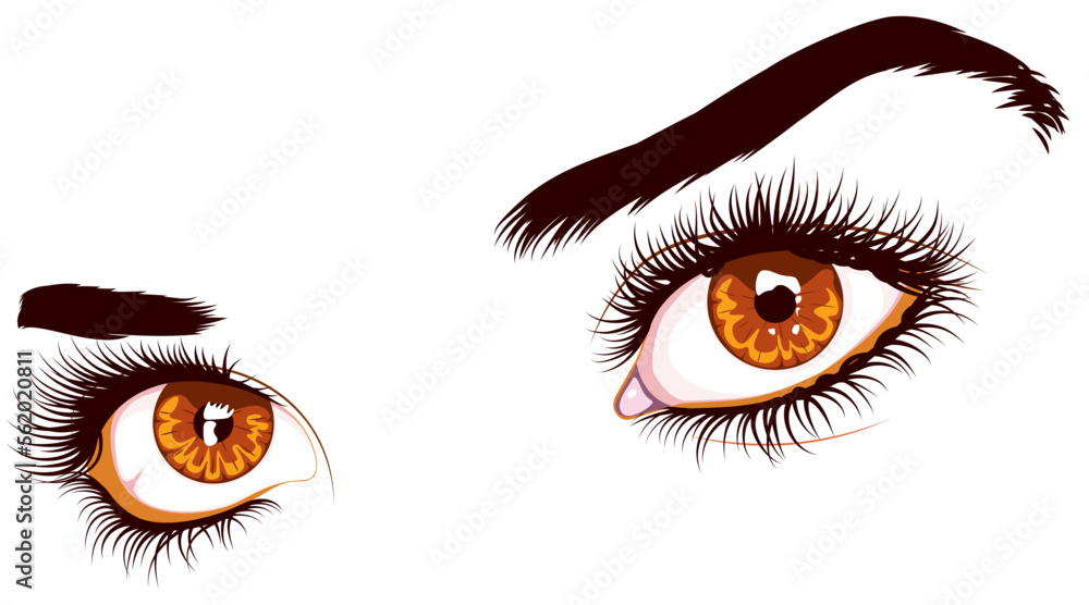 Brown eyes with long eyelashes Brown eyes with long eyelashes