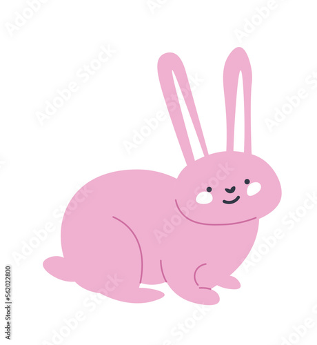 Pink bunny with long ears, hare wild animal rabbit © Sonulkaster