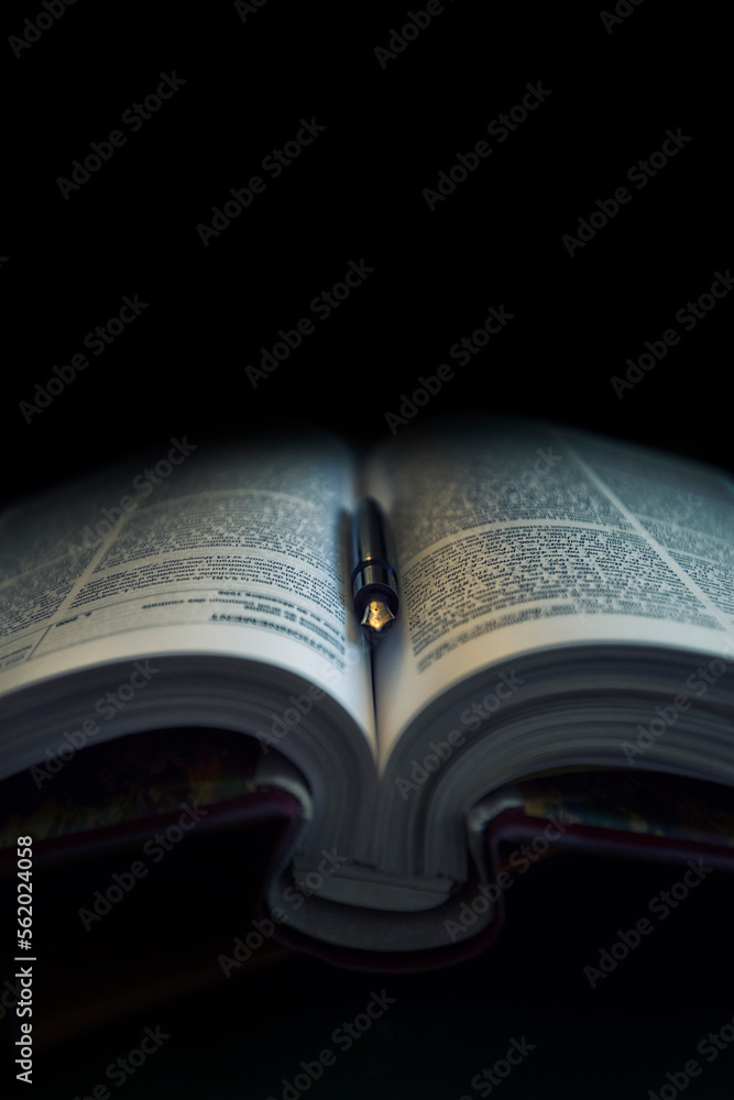 Obraz premium juriste