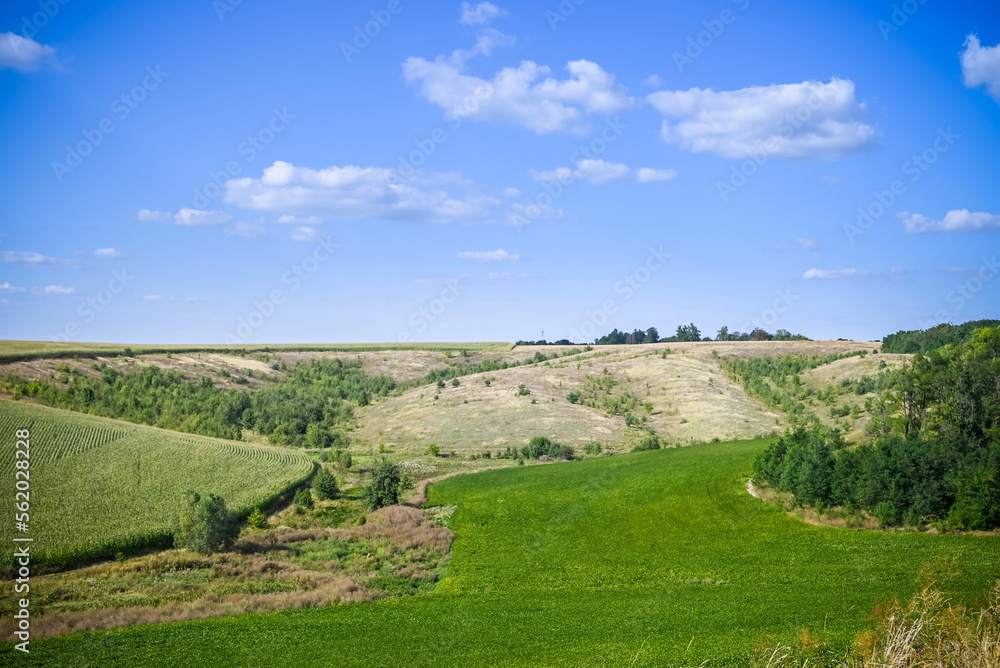 Green Grass Field Landscape with fantastic clouds in the backgro