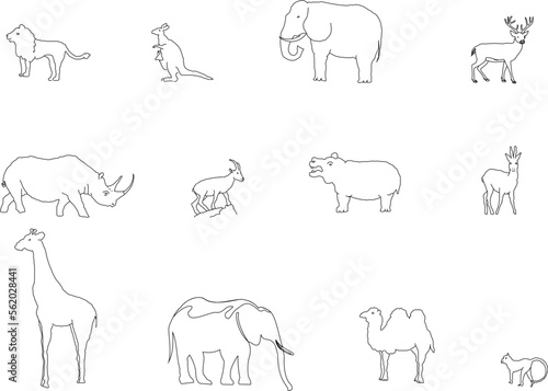 sketch vector illustration of jungle wild animal design