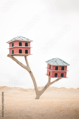 bird house on a branch