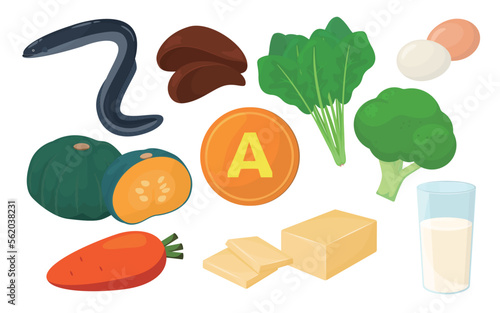 Vector illustration of foods containing vitamin A.