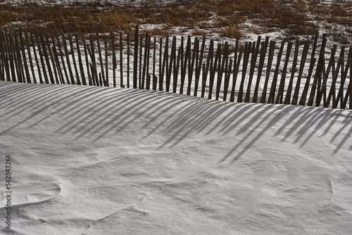 fence posts in snow with shadow in the winter