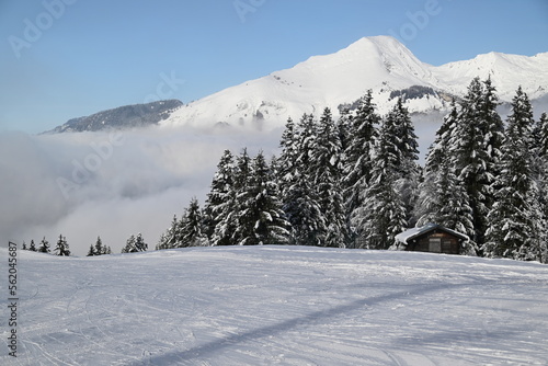 Obraz na płótnie snow covered mountains w salonie