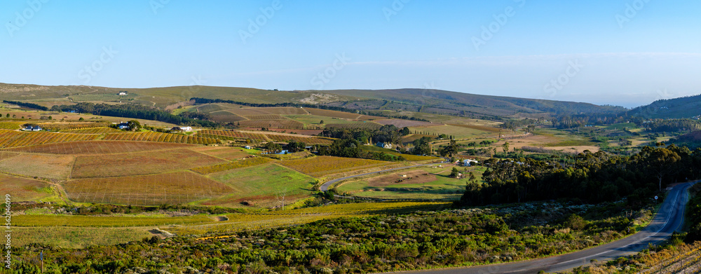 Hemel en Aarde Valley, famous for it's beautiful scenery and vineyards, near Hermanus. Overberg. Western Cape. South Africa