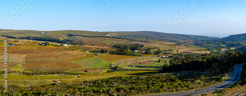 Hemel en Aarde Valley, famous for it's beautiful scenery and vineyards, near Hermanus. Overberg. Western Cape. South Africa
