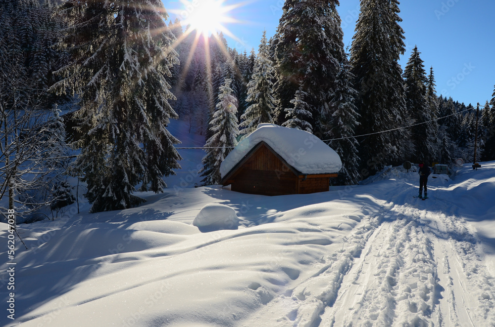 house in the snow