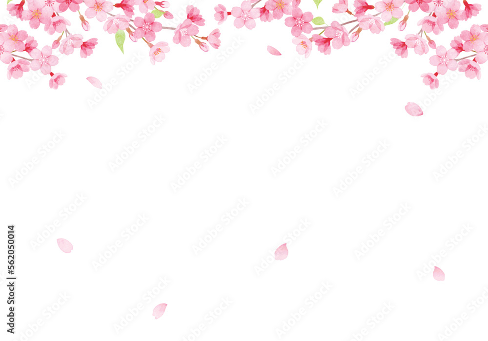 手描き水彩 桜のフレームイラスト 手描き水彩 桜のフレームイラスト