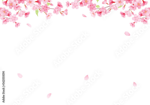 手描き水彩 桜のフレームイラスト