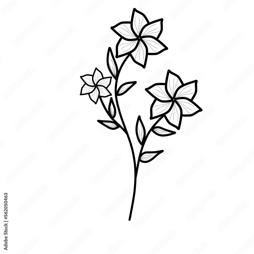 Flowers Lineart Flowers Lineart