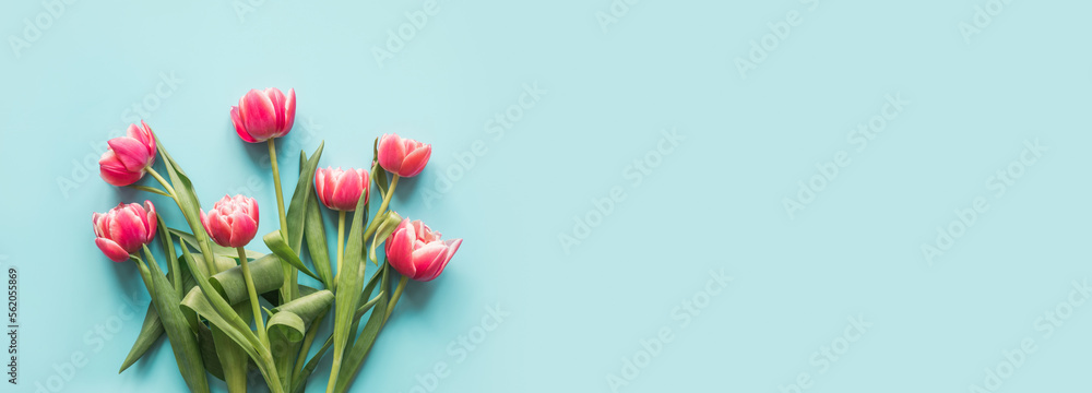 Bouquet of red tulips on blue background. Top view. Greeting card for Mothers Day. Bouquet of red tulips on blue background. Top view. Greeting card for Mothers Day.