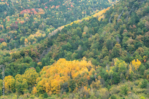 Spectacular view of the Ordesa Valley with the colors of autumn. Ordesa and Monte Perdido National Park in Huesca, Aragon, Spain