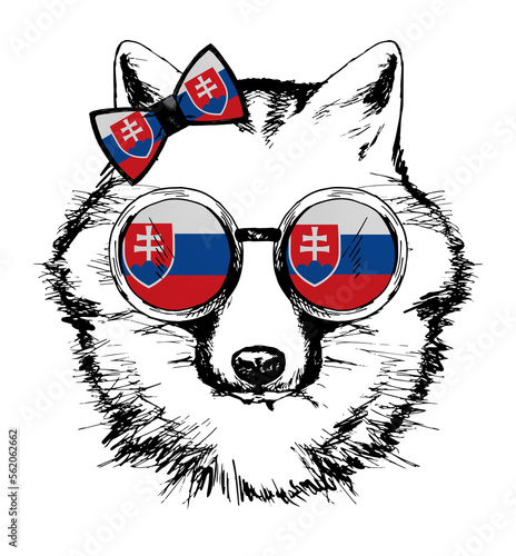 Fox hand drawn portrait. Patriotic sublimation in colors of national flag on white background. Slovakia