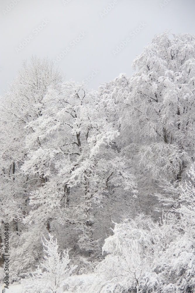 Schneelandschaft Schneelandschaft