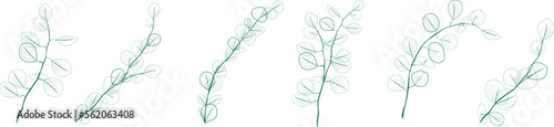 Eucalyptus branches collection.Set of differents green eucalyptus branches. Natural leaves and branches designer art tropical elements set. Hand drawn,one line eucalyptus leaves and branches.