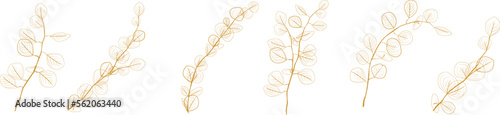 Eucalyptus branches collection.Set of differents golden eucalyptus branches. Natural leaves and branches designer art tropical elements set. Hand drawn,one line eucalyptus leaves and branches.