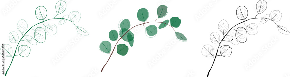 Obraz premium Eucalyptus branches collection.Set of differents green and black eucalyptus branches. Natural leaves and branches designer art tropical elements . Hand drawn,one line eucalyptus leaves and branches.