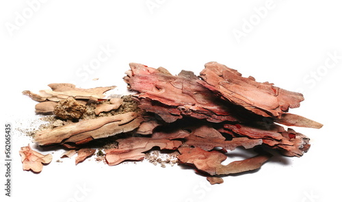 Conifers tree bark, wood isolated on white background and texture, side view