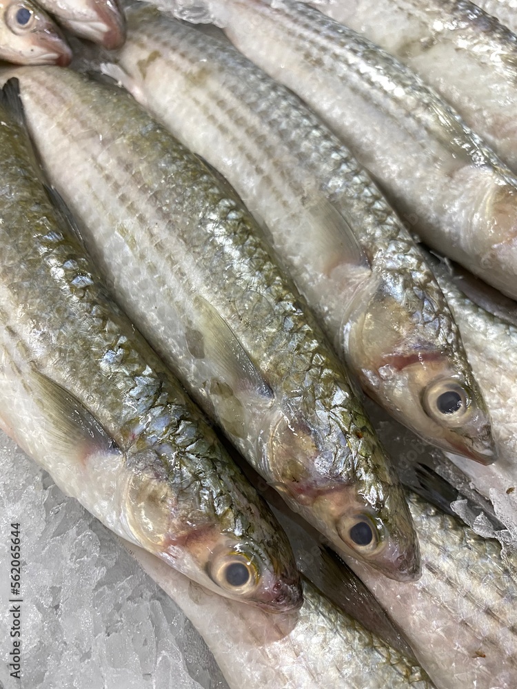 Blurred photo of seafood like fish, squid, prawn in supermarket
