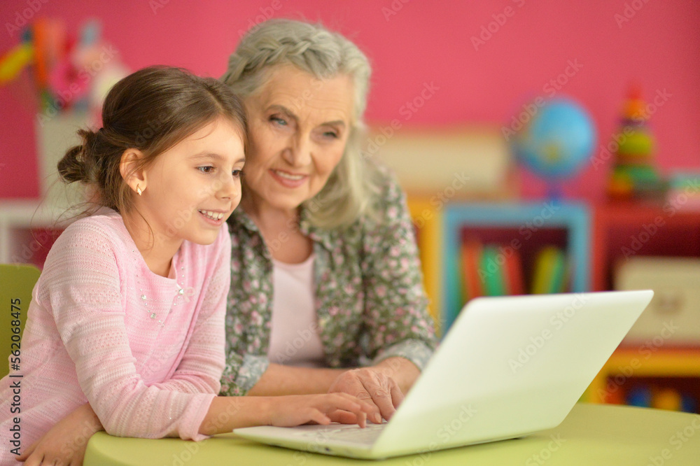 portrait of happy grandmother and daughter using laptop portrait of happy grandmother and daughter using laptop