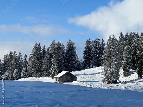 Indigenous alpine huts and wooden cattle stables in the Swiss Alps covered with fresh first snow over the Lake Walen or Lake Walenstadt (Walensee), Amden - Canton of St. Gallen, Switzerland (Schweiz) © Mario