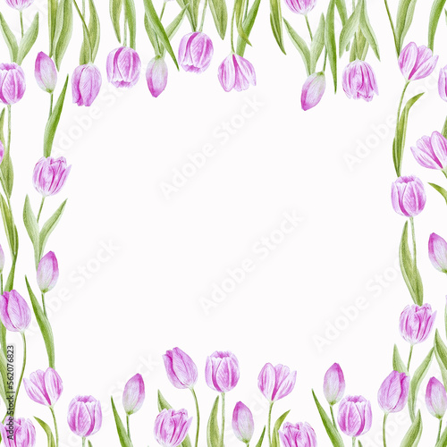 Pink tulips spring flowers pattern frame watercolor hand drawn for invitations, napkins and decor © ReadMarina