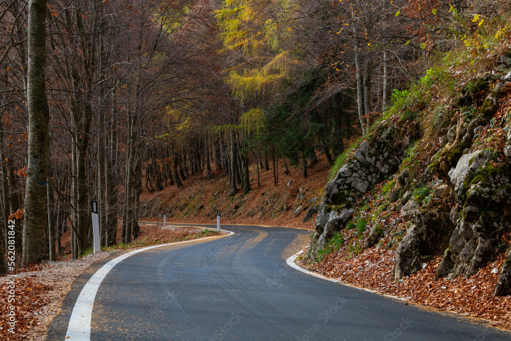 Fototapeta premium Curvy road in the autumn landscape.