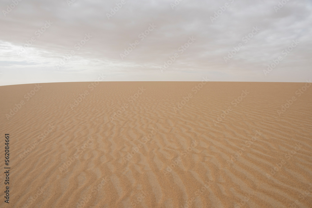 Barren desert landscape in hot climate with sand dunes Barren desert landscape in hot climate with sand dunes