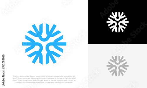 snowflakes logo design vector