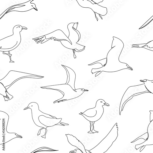 Outline seagull hand drawn seamless pattern. Hand drawn minimalism style vector illustration. Beautiful sea life design elements.