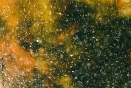 Raindrops during summer shower rain as abstract background