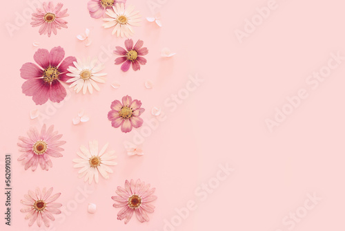 Top view image of pink dry flowers over pastel background .Flat lay