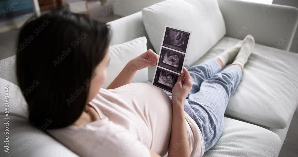 Pregnant Woman With Ultrasound Image Pregnant Woman With Ultrasound Image