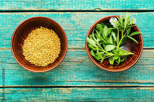 Fenugreek seeds on wooden table