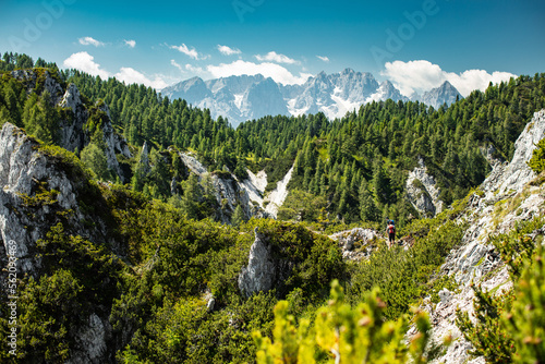 view from mallestiger mittagskogel south towards the Julian alps and the Triglav massive on a beautiful summer day. photo