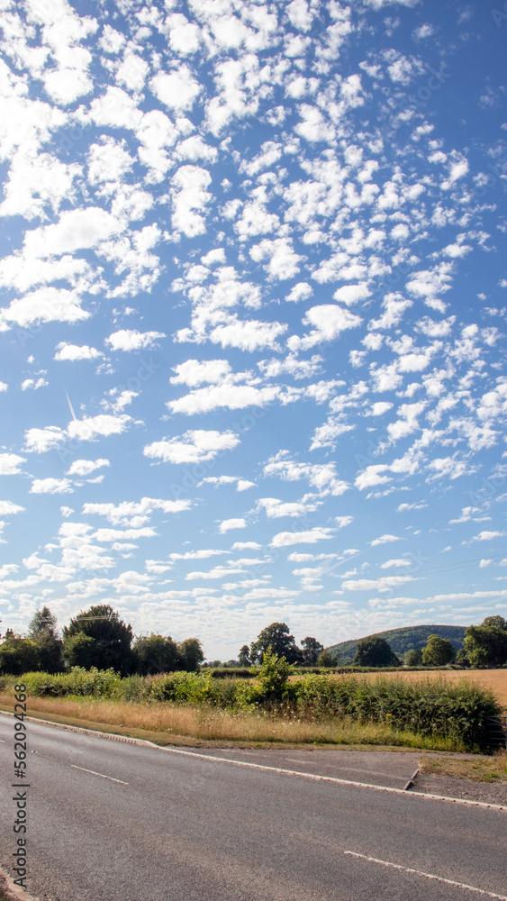 Fototapeta premium Altocumulus Floccus in the blue sky.