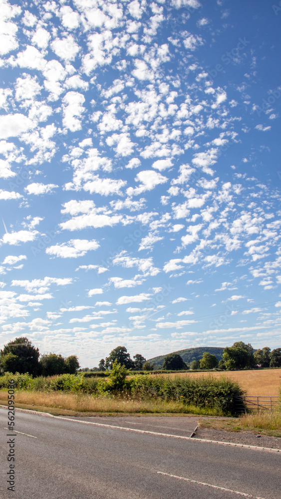 Fototapeta premium Altocumulus Floccus in the blue sky.