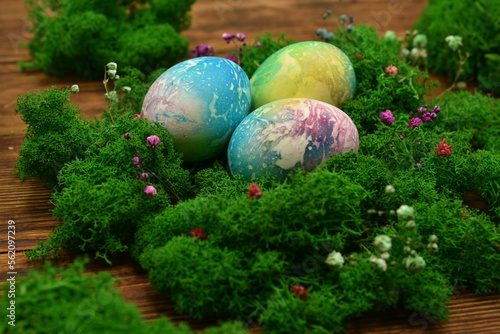 easter eggs in the grass