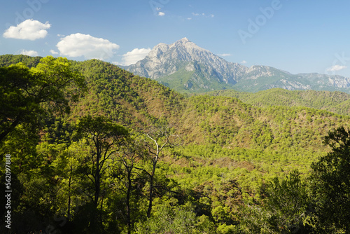 The panorama of Tahtali mountain from Kemer, Antayla provence, Turkey photo