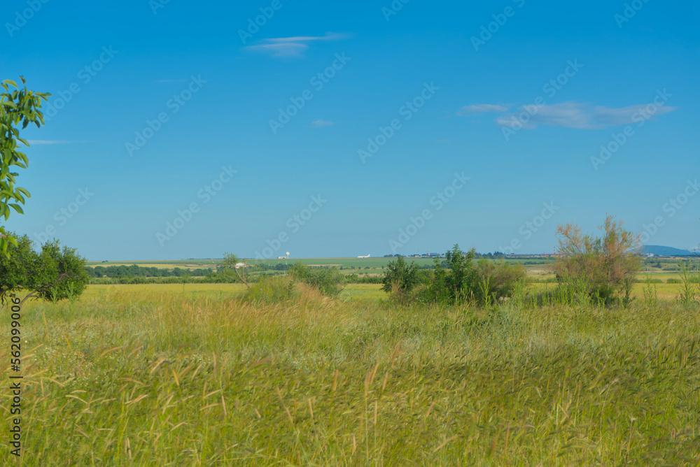 Landscape on a field in the steppe on a clear sunny day