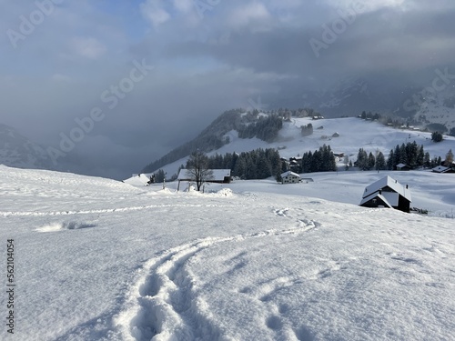 Wonderful winter hiking trails and traces over the Lake Walen or Lake Walenstadt (Walensee) and in the fresh alpine snow cover of the Swiss Alps, Amden - Canton of St. Gallen, Switzerland (Schweiz) © Mario