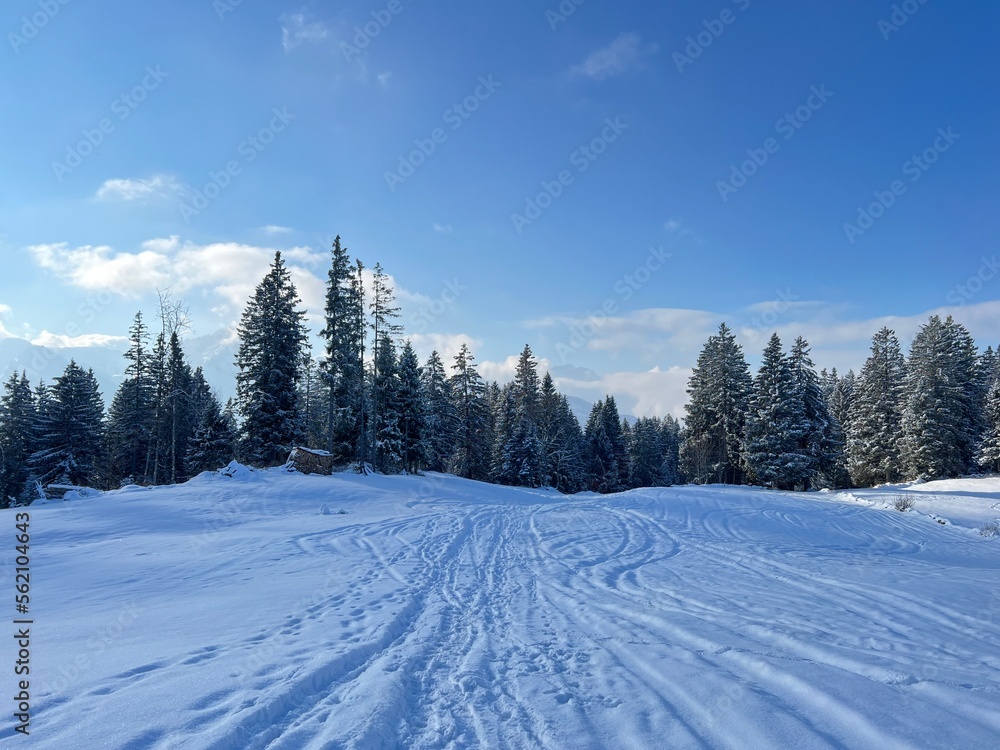 Fototapeta premium Wonderful winter hiking trails and traces over the Lake Walen or Lake Walenstadt (Walensee) and in the fresh alpine snow cover of the Swiss Alps, Amden - Canton of St. Gallen, Switzerland (Schweiz)