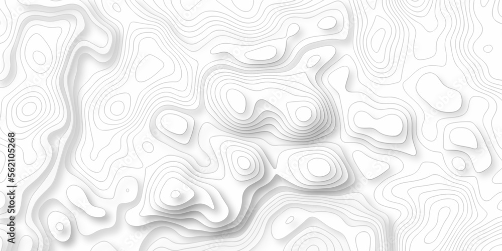 Abstract background with lines Topographic map background. Line topography map contour background, geographic grid. Abstract vector illustration.	