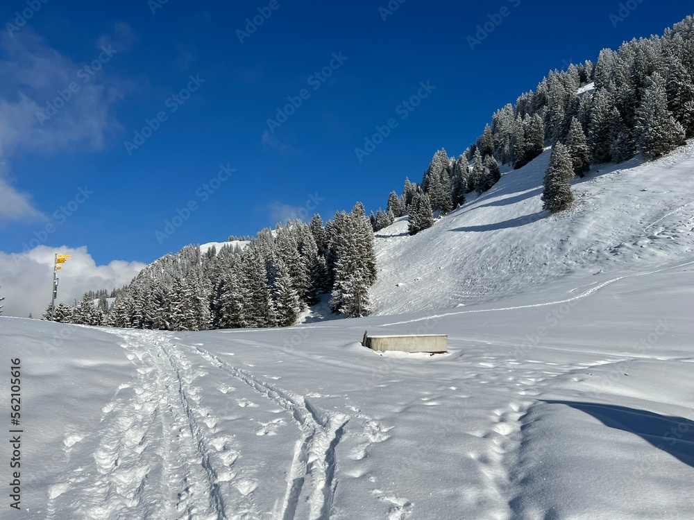 Obraz premium Wonderful winter hiking trails and traces over the Lake Walen or Lake Walenstadt (Walensee) and in the fresh alpine snow cover of the Swiss Alps, Amden - Canton of St. Gallen, Switzerland (Schweiz)