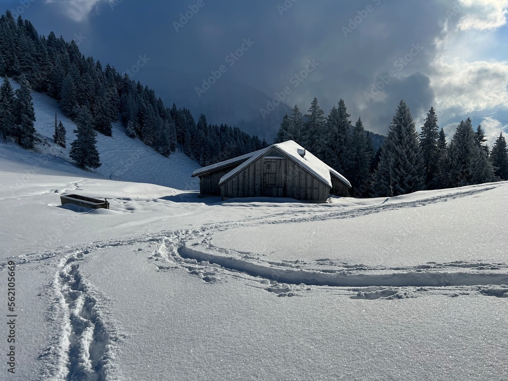 Wonderful winter hiking trails and traces over the Lake Walen or Lake Walenstadt (Walensee) and in the fresh alpine snow cover of the Swiss Alps, Amden - Canton of St. Gallen, Switzerland (Schweiz)